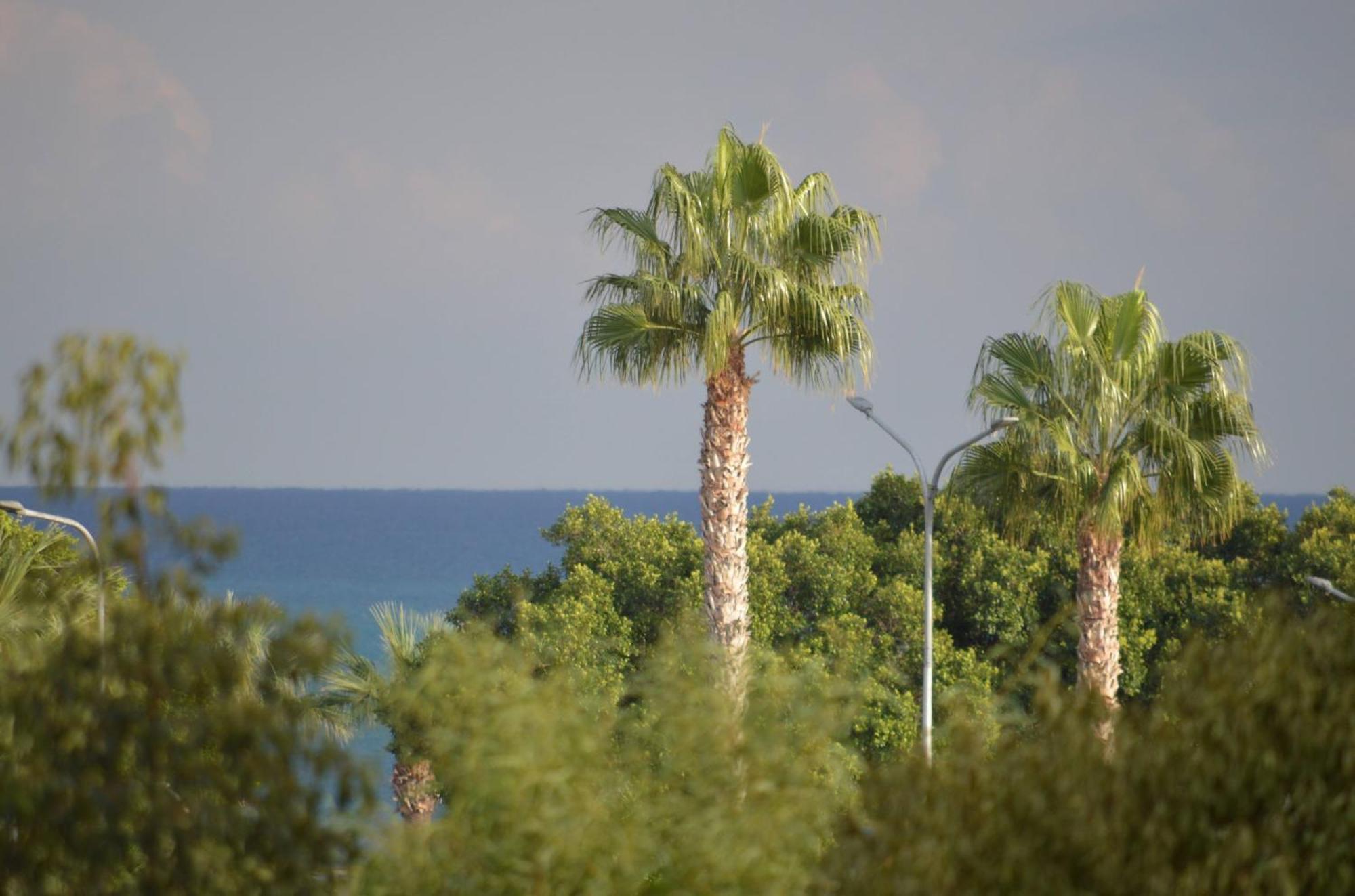 Modern Apartment Near Mckenzie Beach Larnaka Exterior foto